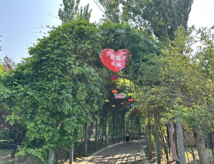 泉城首个生育友好主题公园开园！沉浸式场景解锁婚育文化新体验