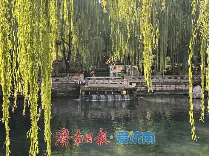 一年四季 泉在济南丨黑虎泉水位创新高 玛瑙泉瀑布惹人醉
