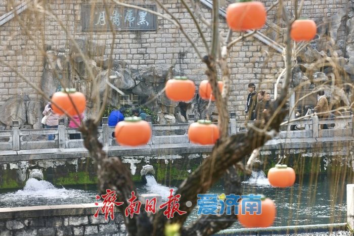 泉声伴灯影 济南护城河畔迎新春