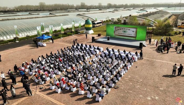 高官寨街道：“强动能 兴产业 优治理”三维驱动谱写发展新篇