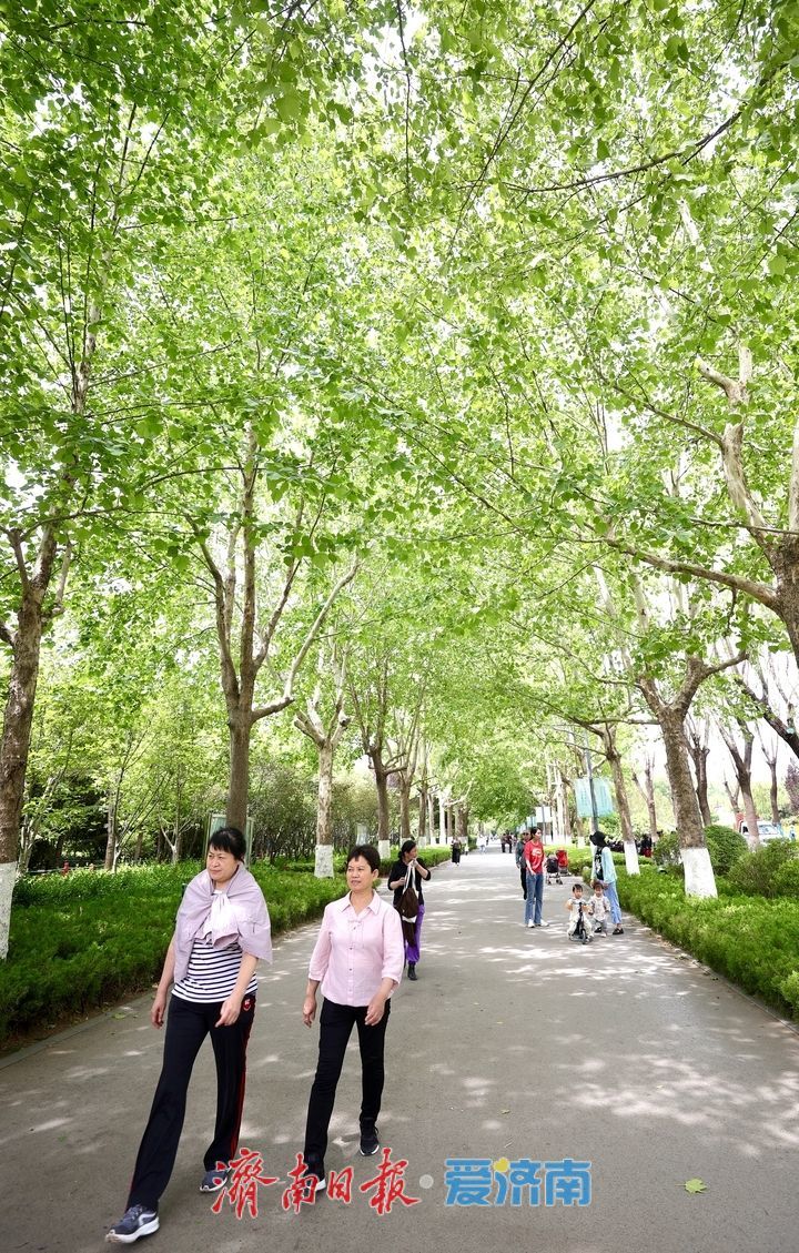 泉城五月花事浓！济南花圃公园化身“天然调色盘”