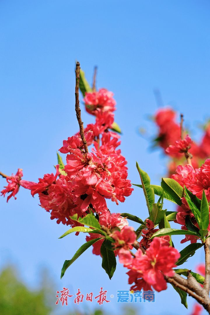 谷雨时节春意盛 市民游园赏景正当时