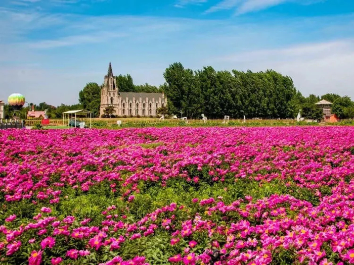 “这里是章丘！”——圣井篇