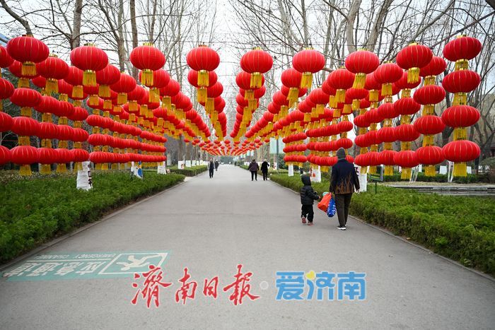 一年四季 泉在济南丨花圃公园山茱萸悄然绽放 早春画卷徐徐展开