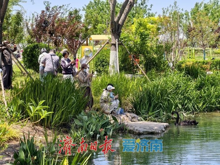 初夏泉畔，尽显生态宜居新貌