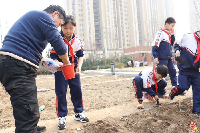 济南市天桥区枫景小学开展植树节活动