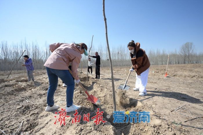 济南市开展校友林植树活动