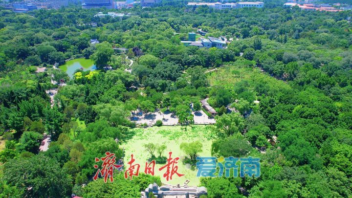 泉城公园：藏在市民家门口的天然免费运动场