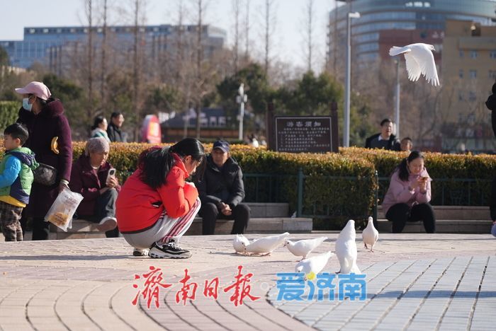 春风和煦，市民欢“鸽”笑语度周末