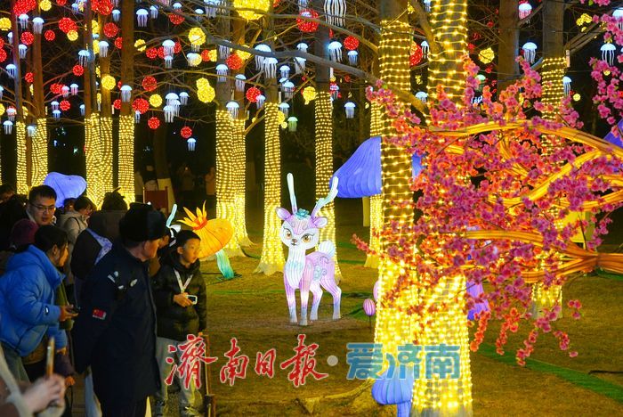 一年四季 泉在济南丨年味拉满！五龙潭公园璀璨花灯点亮泉城新春