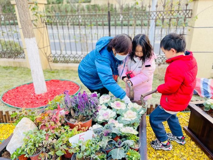 济南市今年将再增50处“共建花园” 实现主城区主要街道全覆盖