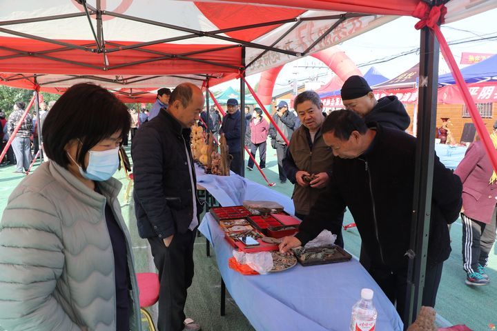 济南市长清区西苏文化市场开街暨第一届奇石书画博览会盛大开幕