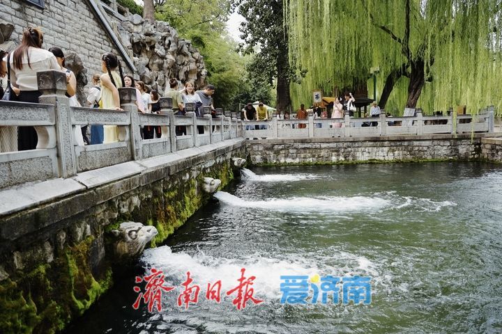一年四季 泉在济南丨一河泉水映秋景 两岸风光醉游人
