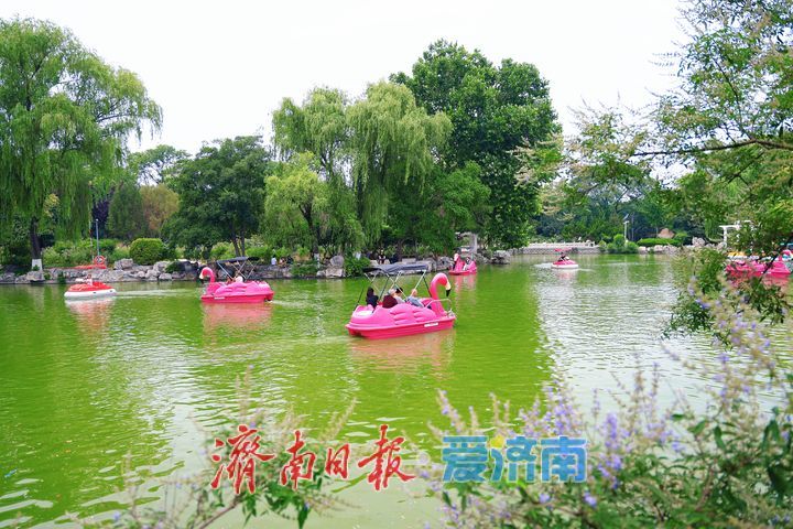 休闲漫步游园间 欢度端午小长假