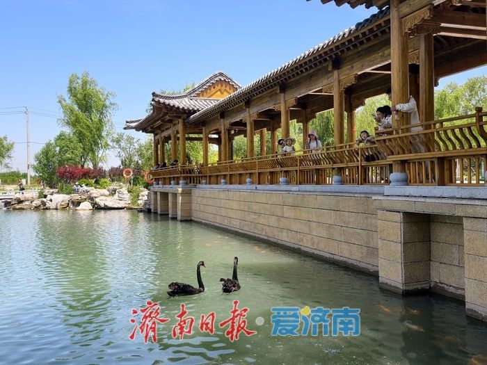 初夏泉畔，尽显生态宜居新貌