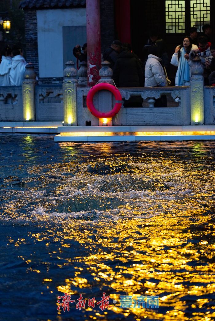 华灯初上，趵突泉漾起满池 “金花”醉游人