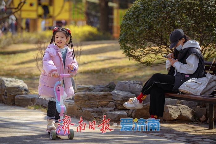一年四季 泉在济南丨迎春花、玉兰、梅花竞相绽放，泉城公园一派春意盎然
