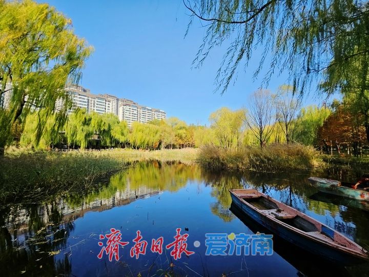 一年四季 泉在济南丨秋色惹人醉 公园秋日美景处处出大片