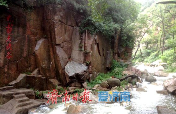 千万棵树木覆绿石山，房干村在生态路上“领跑”