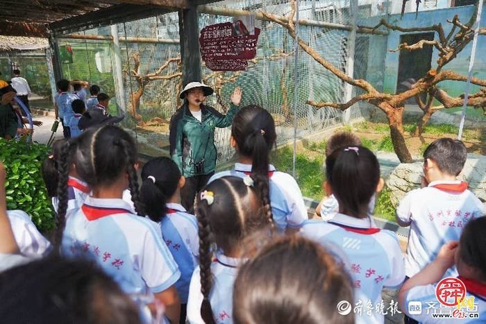 探秘自然王国，济野研学热潮持续升温