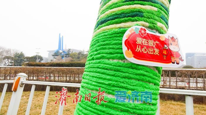 泉城广场树干“穿”彩衣 寒冬添暖又添景