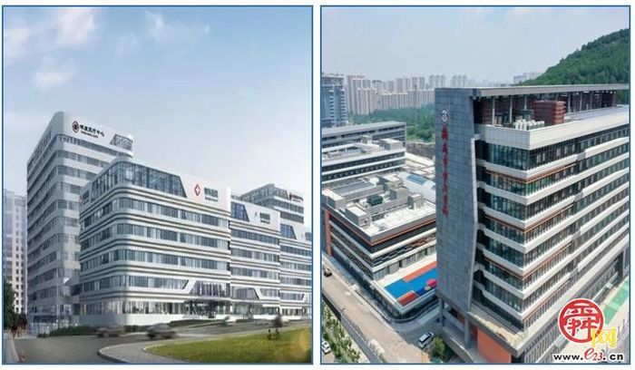 探访长岭高科创新产业园：当实验室与病房仅一路之隔