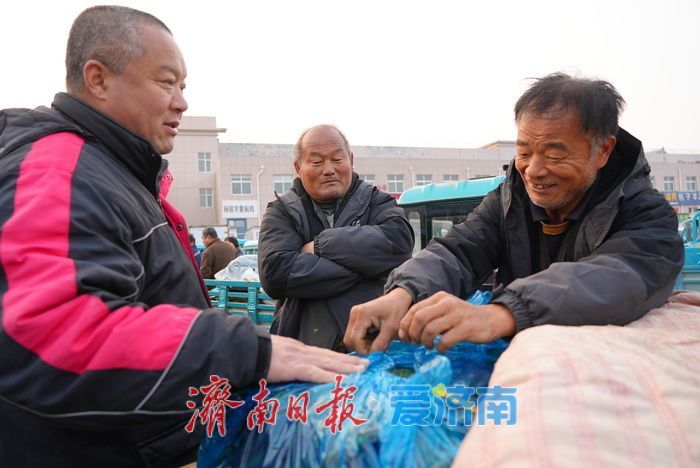 晨光下的车水马龙：黄瓜批发市场开市忙