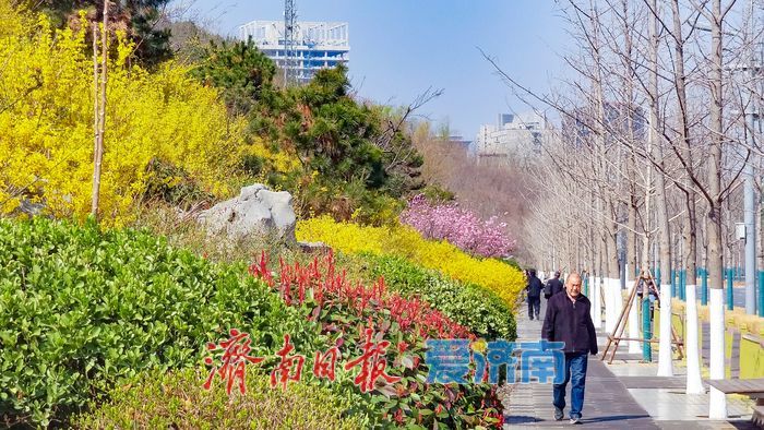 一年四季 泉在济南丨晴好沐春风 茂陵山公园春景正盛