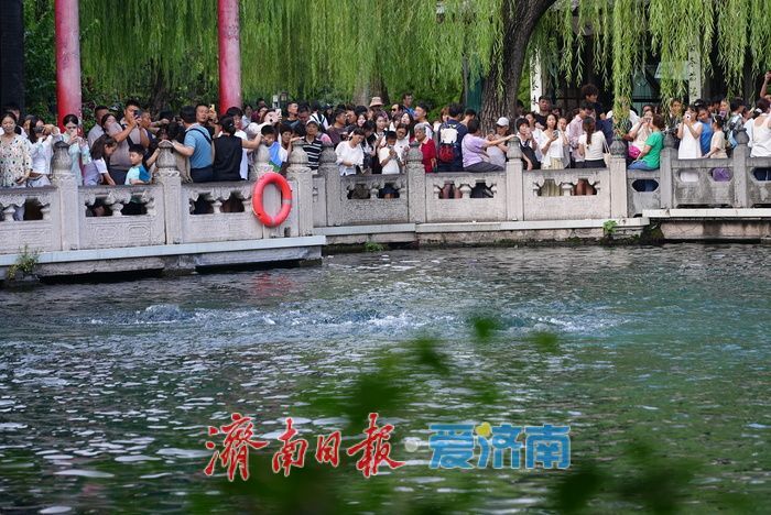 “水涌若轮”盛景醉游人