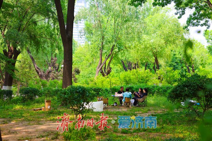 夏日寻凉正当时 树荫露营解锁都市微度假新方式