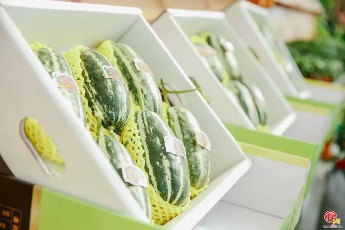 “这里是章丘”——高官寨篇