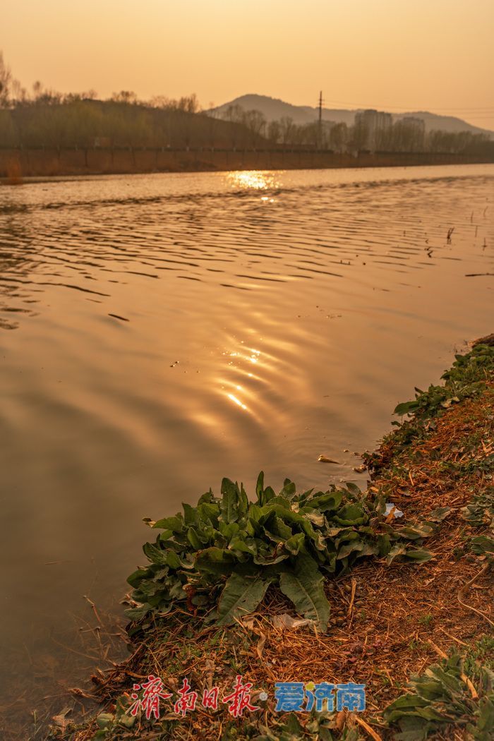 落日熔金映长河！济南腊山河日落绘就春日限定画卷