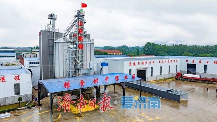 辐射7.5万亩，日烘1800吨：山东粮食烘干“旗舰”已就位，迎战阴雨天气