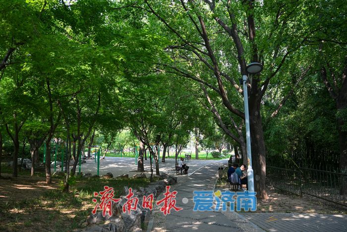 一年四季 泉在济南丨步道漫步树荫休憩 泉城公园成避暑休闲好去处