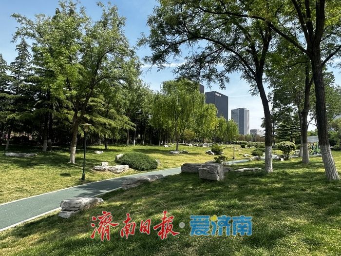 近郊露营“一位难求”？济南市区就有块人少好停车的“宝藏”绿地
