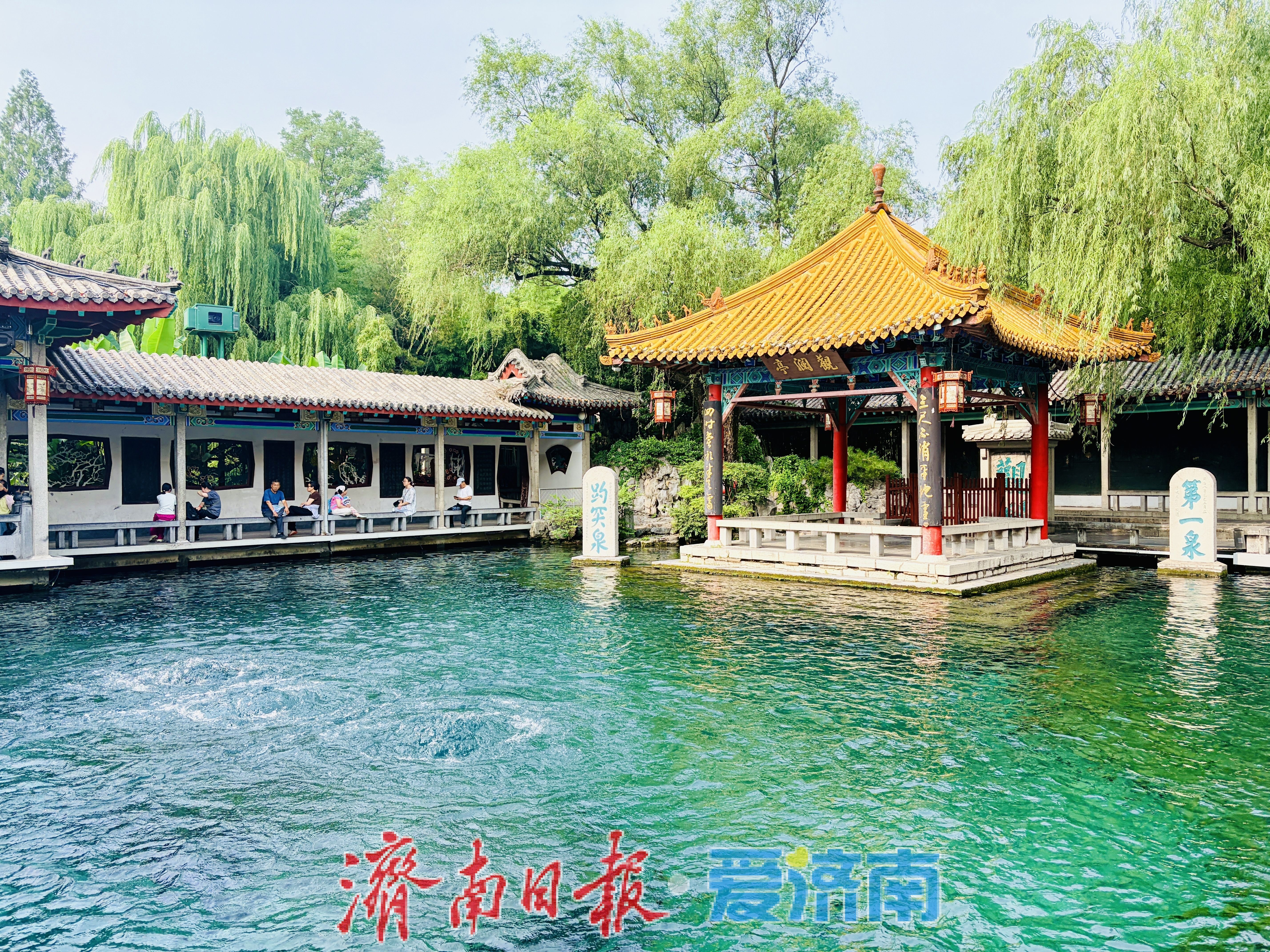 暴雨送甘泉！济南两大名泉水位较去年同期大涨超1米