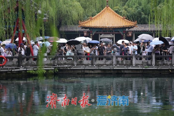 一年四季 泉在济南｜烟雨“济南府”赛江南 雨中泉水游别样体验