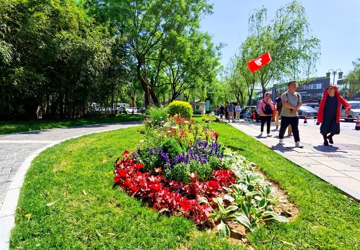 观景入画，济南大明湖南岸绿道改造再添新景