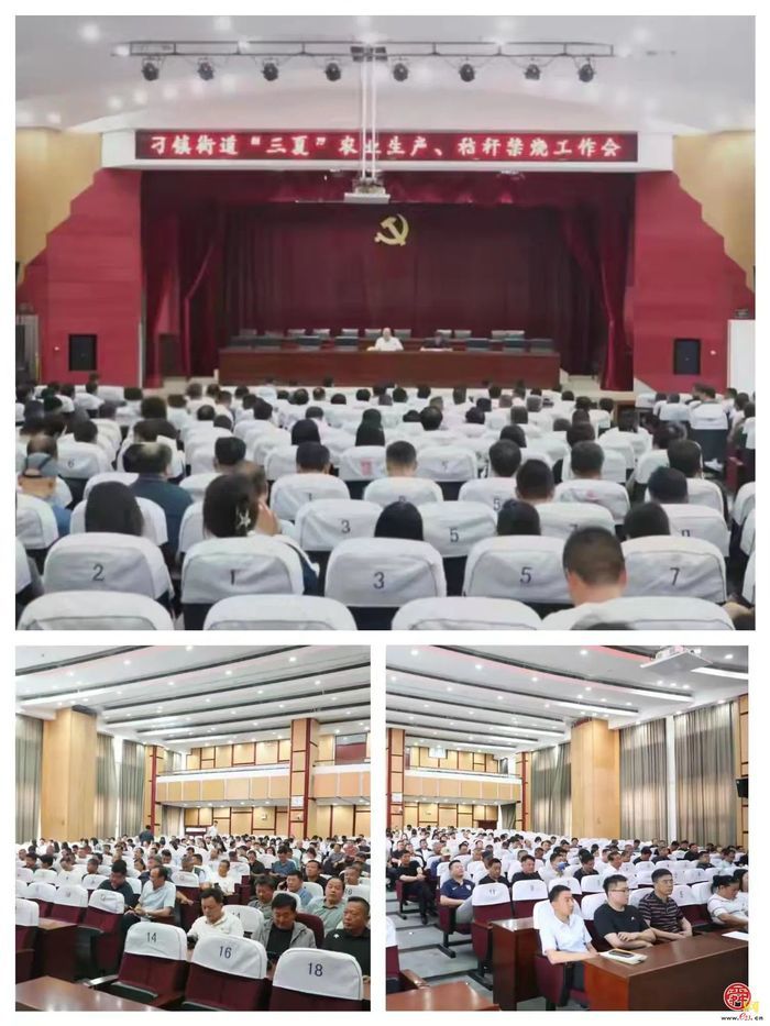 风吹麦浪穗飘香 又是一年好“丰”景——刁镇街道全力做好“三夏”生产工作