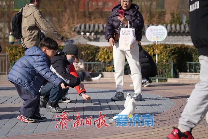 春风和煦，市民欢“鸽”笑语度周末