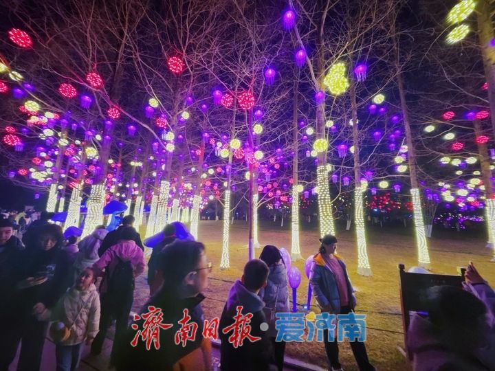 “泉”在济南过大年丨五龙潭花灯持续火爆 点亮泉城新春夜