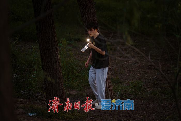 一年四季 泉在济南丨黄河岸边夏夜忙 济南市民扎堆寻“金蝉”