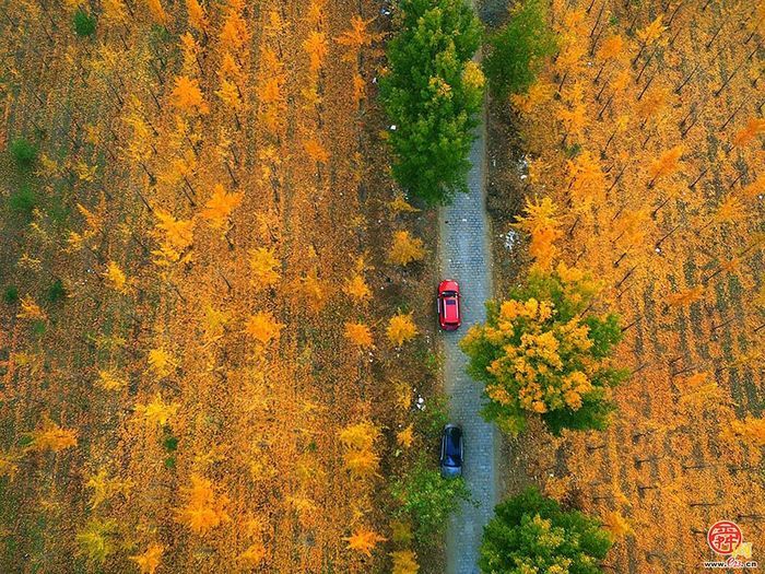 “享”来槐荫攻略已上线！国庆节假期等您来打卡