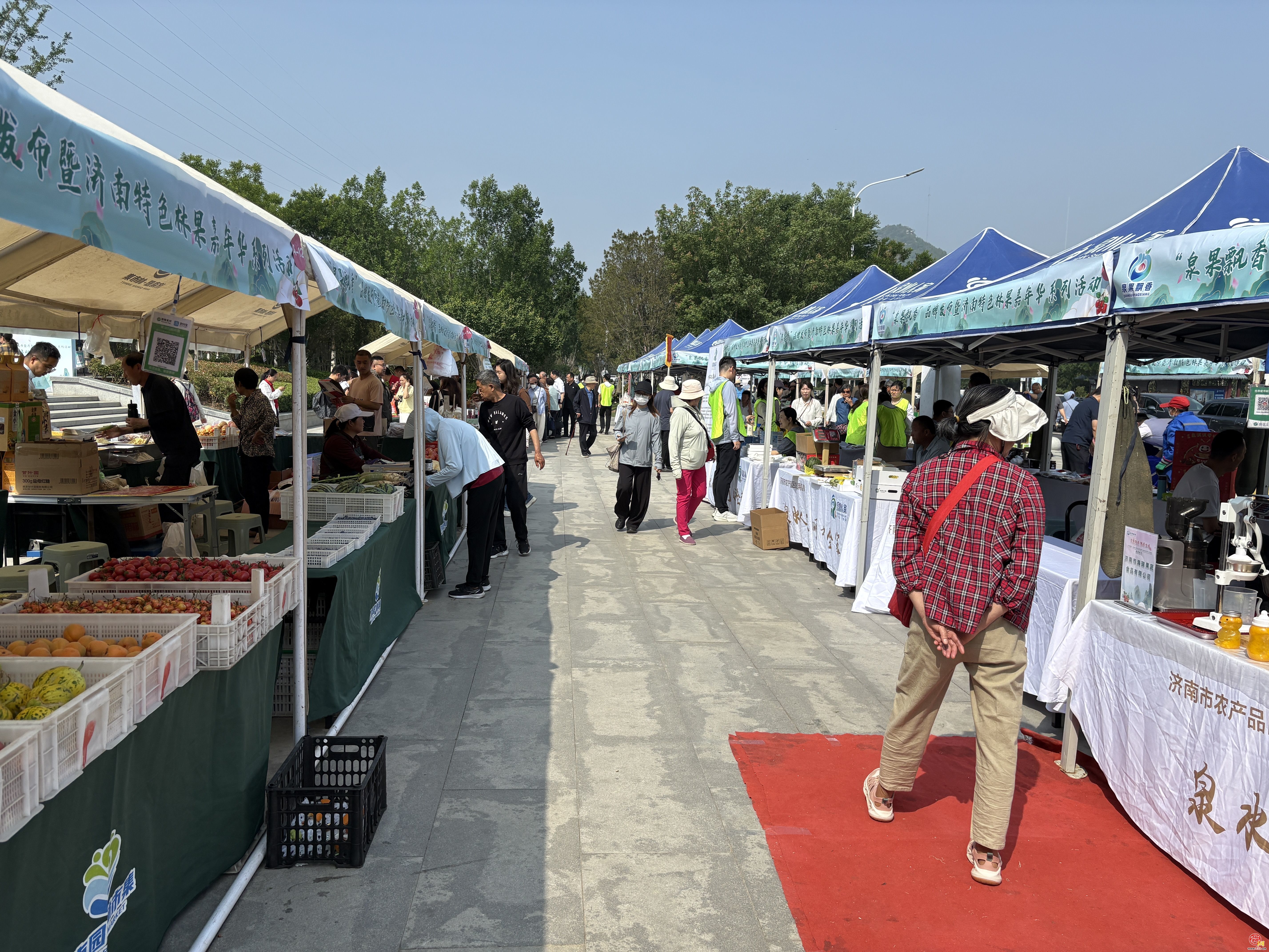 “泉果飘香”品牌发布暨首届济南特色林果嘉年华系列活动启动