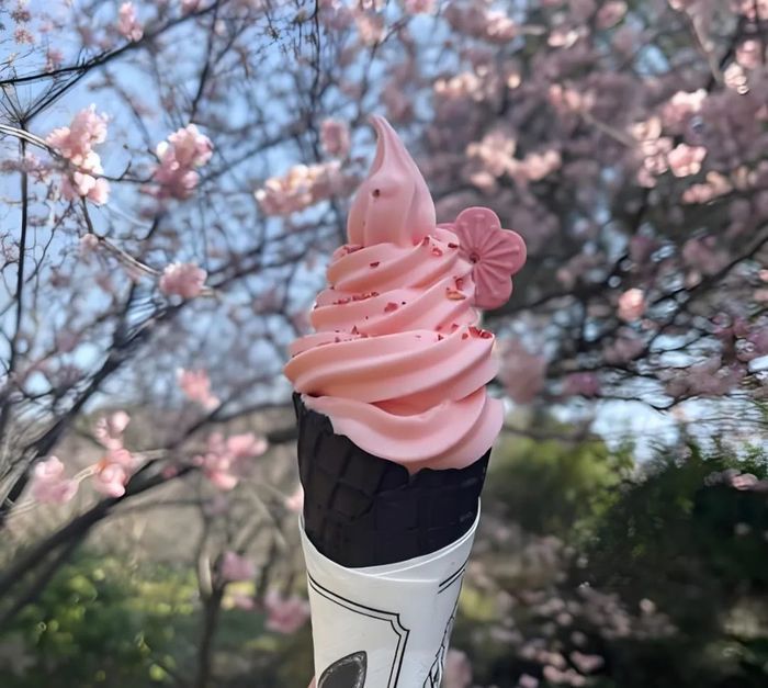 慢时光赏樱花，第二十二届五龙潭樱花节即将启幕