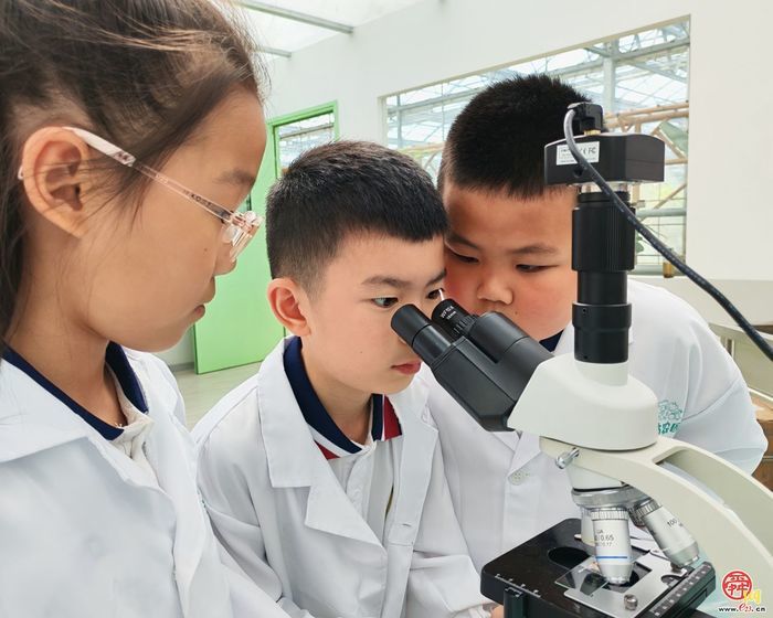 脚下踩泥土 心中藏成长——济南市天桥区枫景小学开启“‘玉’见小美好 节约大行动”主题实践课程