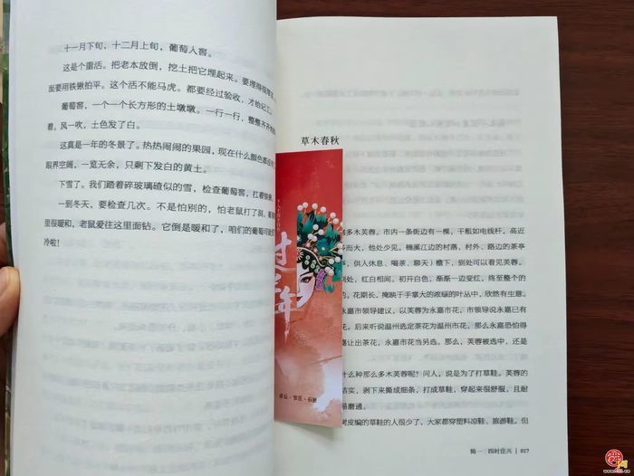 梆子腔里听山河，书卷香中读古今——当戏曲遇见阅读