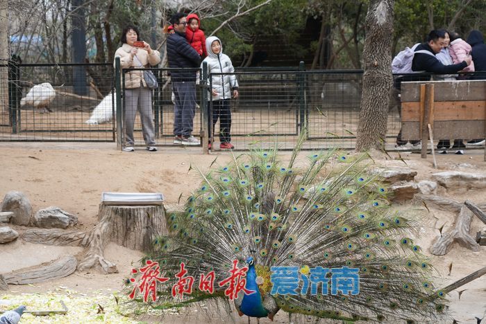 抓住假期的尾巴，寓教于乐欢度寒假