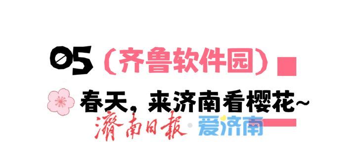 接下来，济南的人设是“樱花主理人”