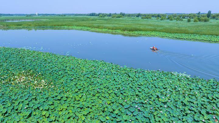 诗意白云湖  盛夏文旅季 ——水乡白云向您邀约